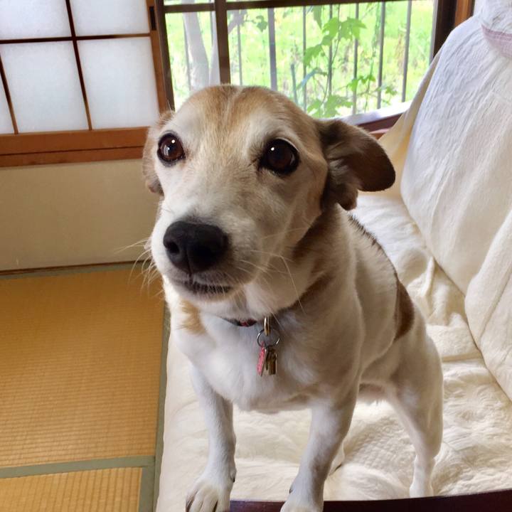 Db896367 139b 47be bacb 5d8d244b2346