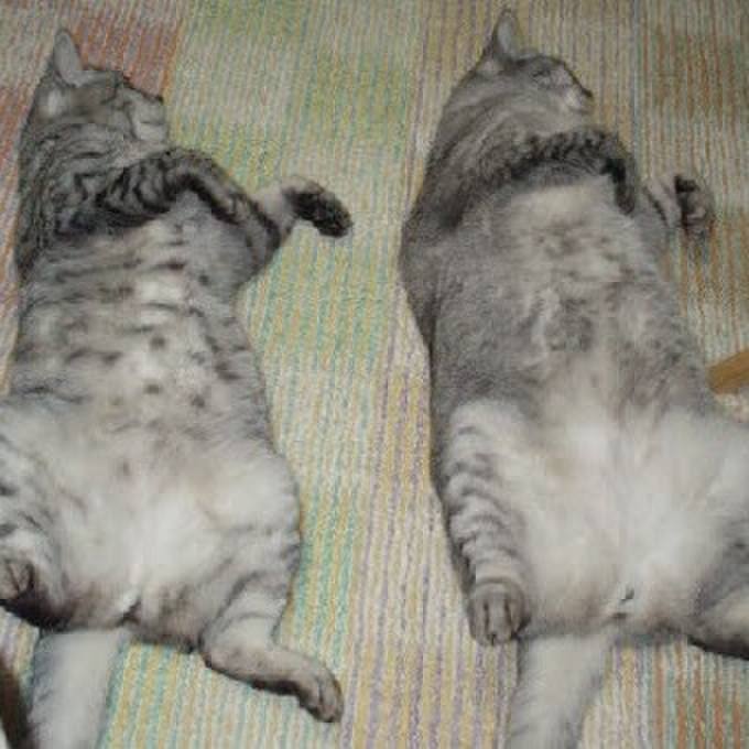 Db898d26 d930 4151 a386 7cc79e125b73