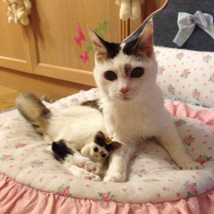 Db899eb2 fe4b 45ca bf05 4b5b7b29484b