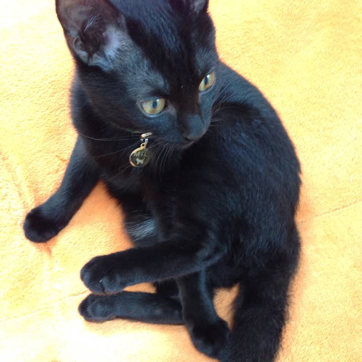 Db89f269 5dbb 469d bdf3 0500c2b7a8fc