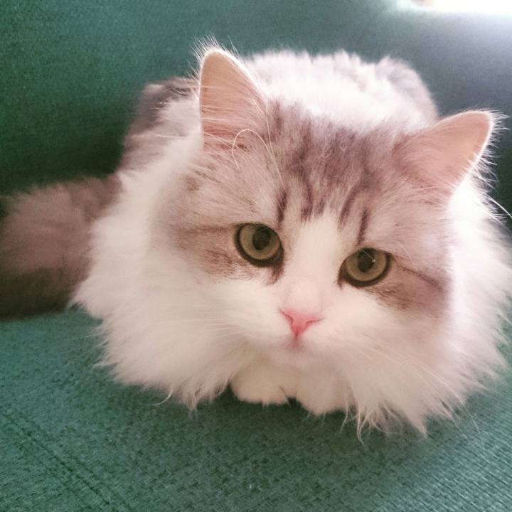 Db8a70cc a8f2 4579 92d0 de9ec8ca3794