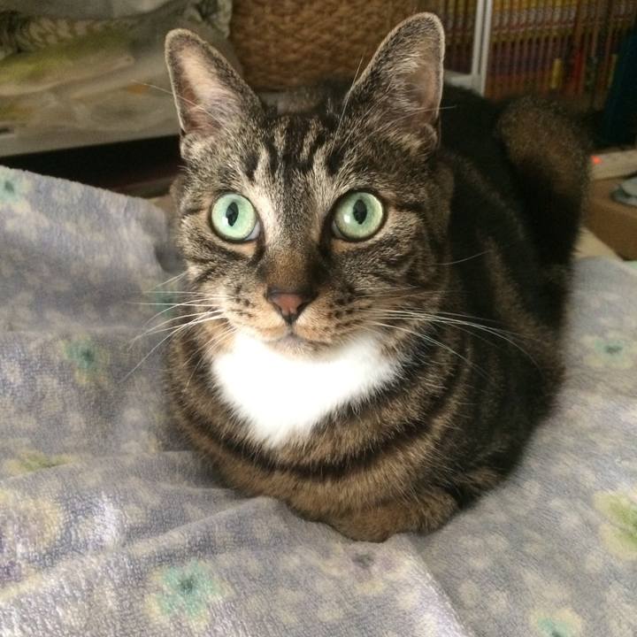 Db8c736c 8701 4c68 90f1 26445b659e50