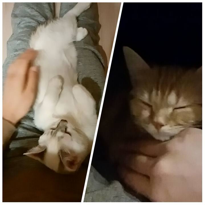 Db8cf664 7e21 4010 99b5 6749bc1976c9