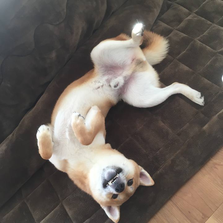 Db8dbc49 c735 4edc 9921 59d80159c085