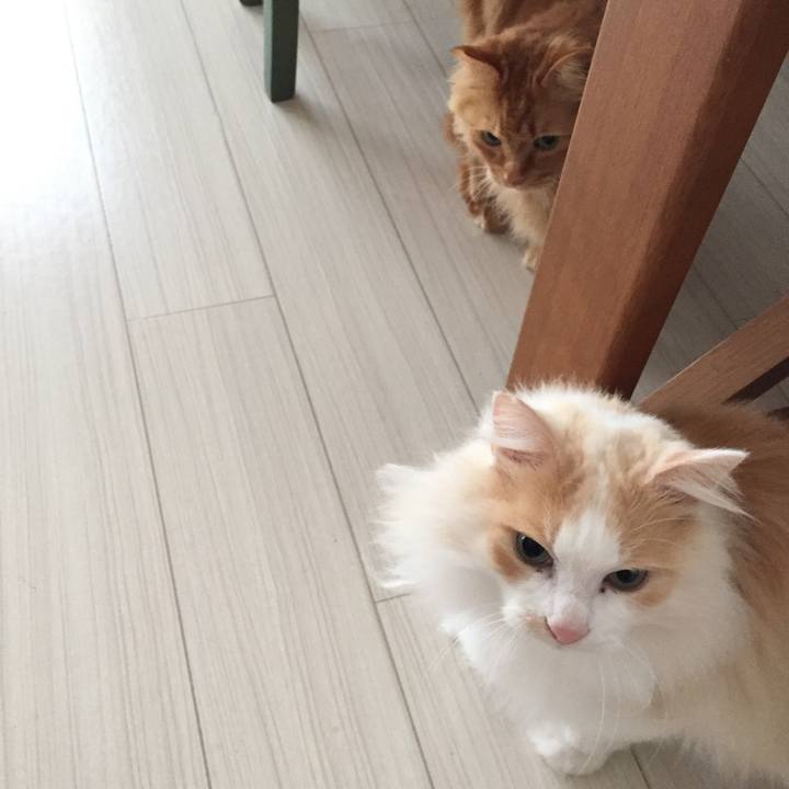 Db8dc7f9 fdd2 4ed2 9b22 7dbc7bde8de7