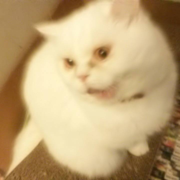 Db8dc90a b133 40a2 bf2f fdc951ab4321