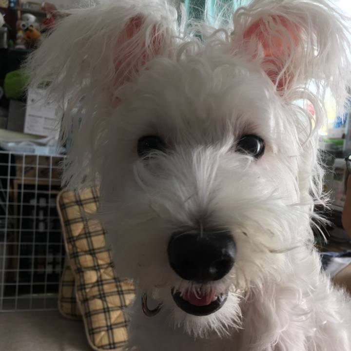 Db8e666d 9245 4623 9437 3a4e5b01688a