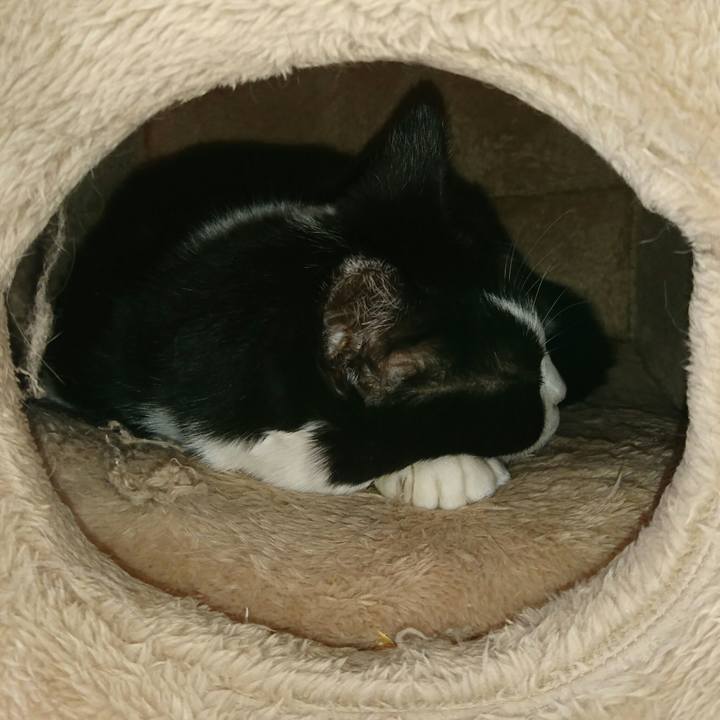 Db8f7e1f 69d8 45a3 a21b 184ae22c139f