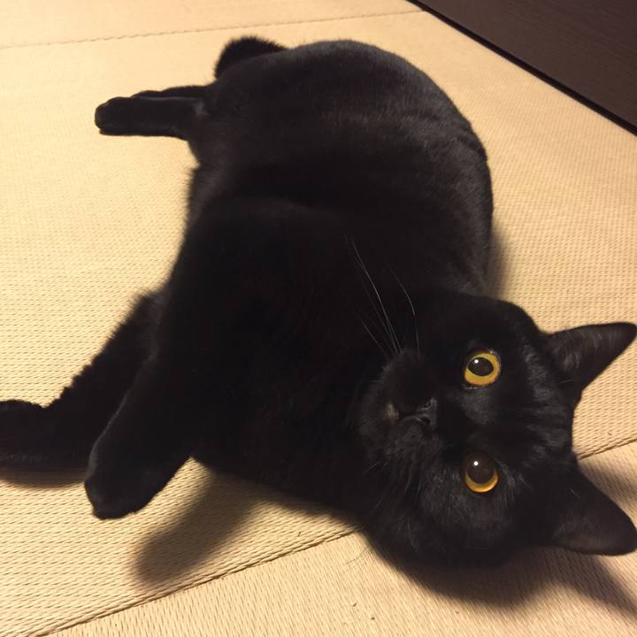 Db8ff9b4 bceb 4c3d b871 ba73846fe053