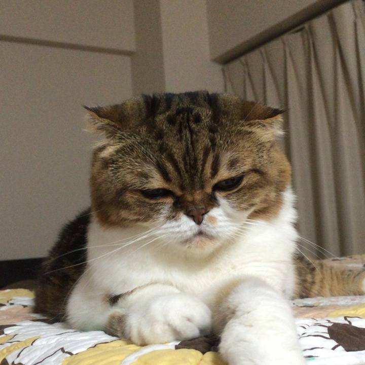 Db901505 33da 4efa 87dd 7517d77ed01f