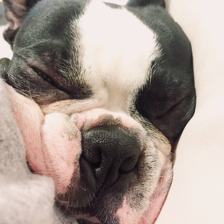 Db9097a6 6f82 4799 a693 ba252af431d9