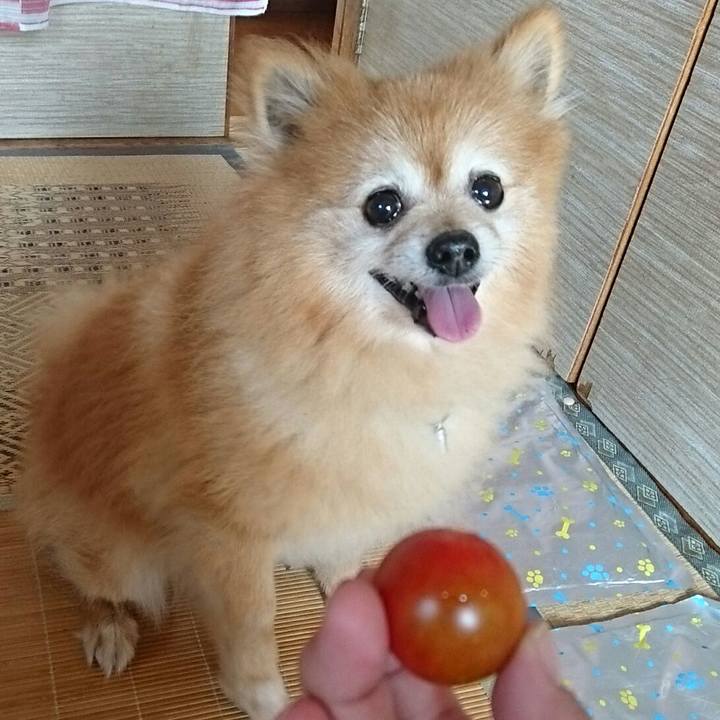 Db90e3a9 a53b 47d7 80e8 69218172972f