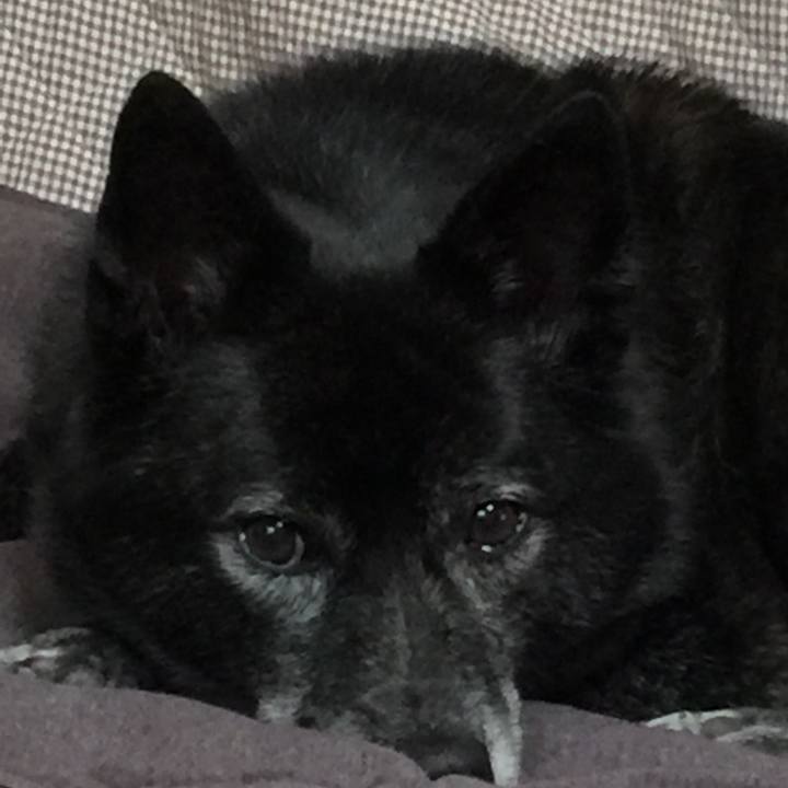 Db912106 3178 42d9 b41d f97de67d1ac0