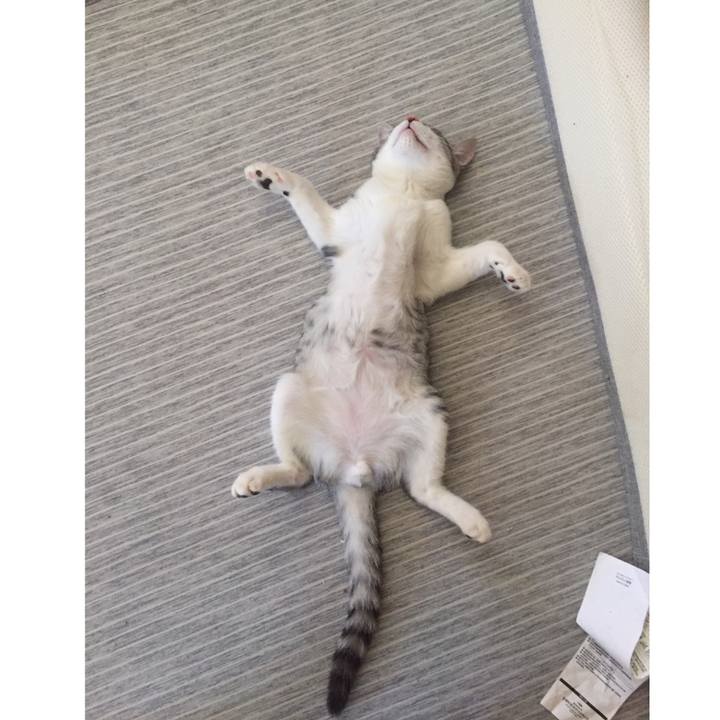 Db9125c8 f8d6 4542 8cba 3d39ea15c6fd