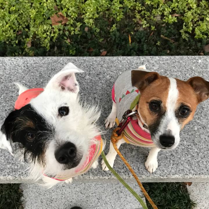 Db91721d 34fe 481a a9d6 3d571a678ef2