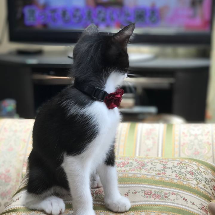 Db91b057 b3af 420c 8c0b 18b963d2f2fe