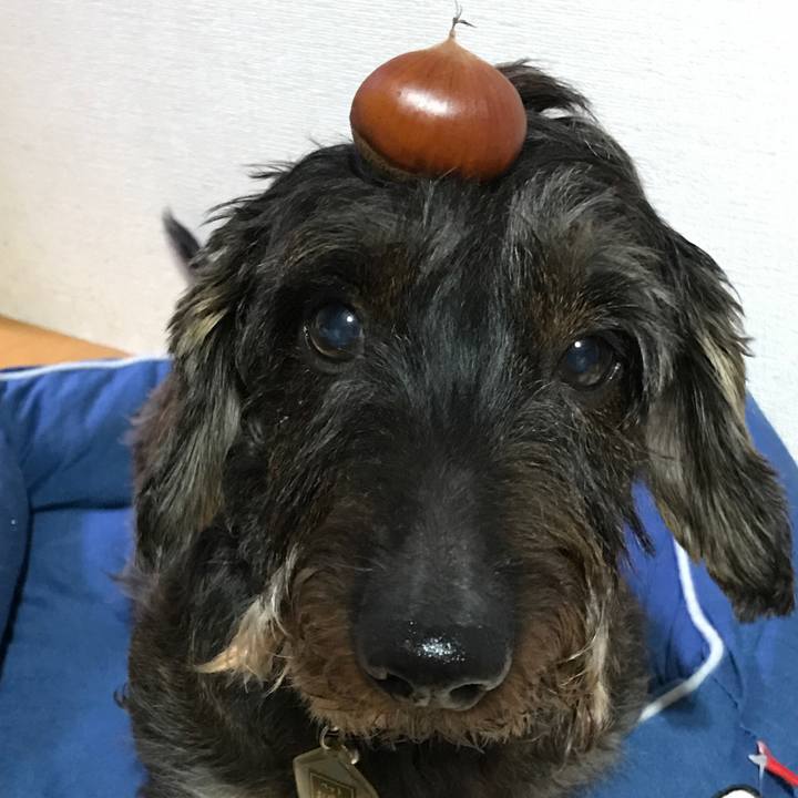 Db9291a5 c9bc 40be bb29 9e4d101f1b1d