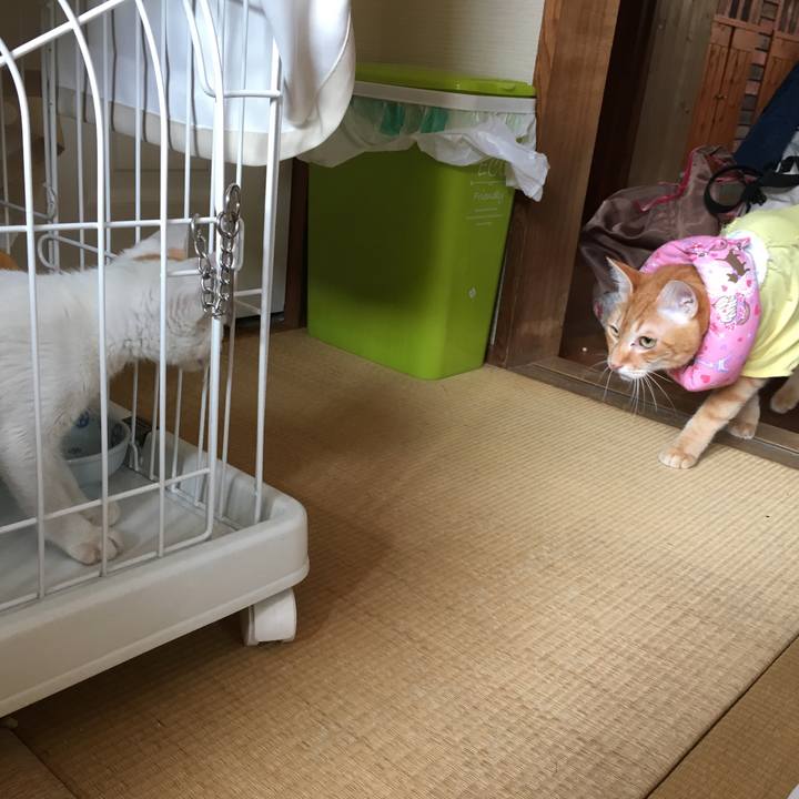 Db92995e 121d 4d55 a09e 5737450259bb