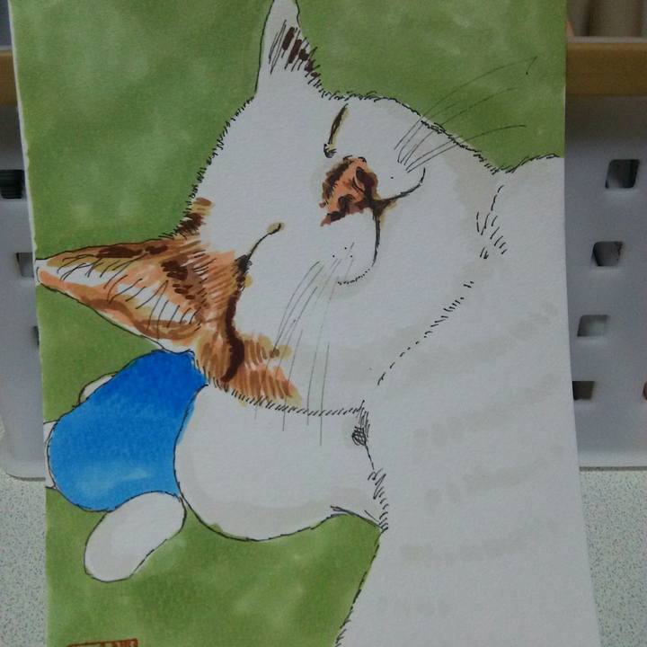 Db92c093 c3c5 40a7 9ebd 1f5c1de3dcc0