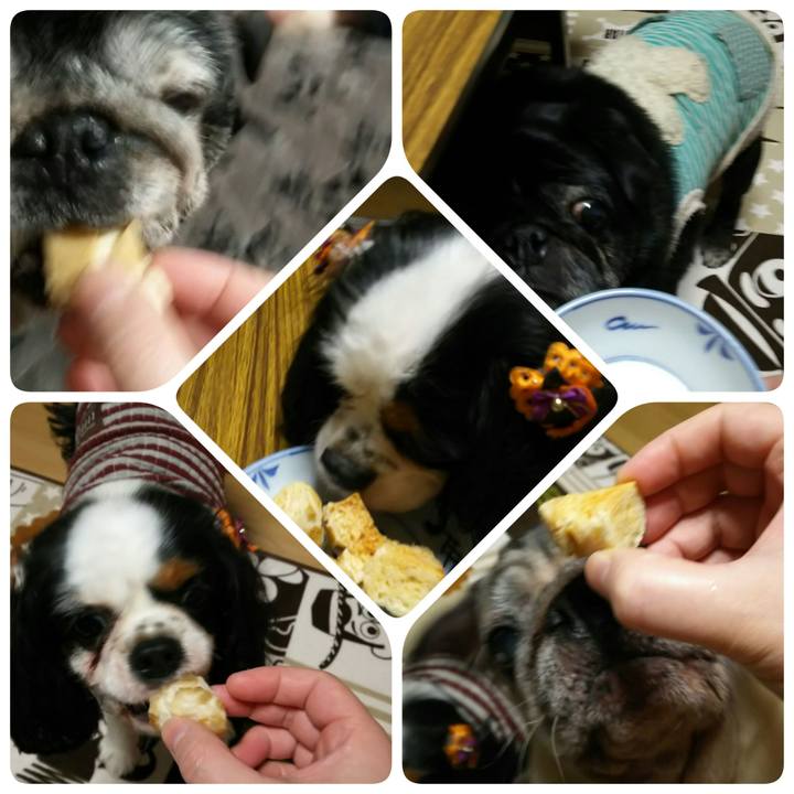 Db92c934 a853 46a0 83b1 28a44157b678