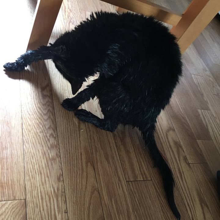 Db9384d6 9aee 4450 b572 3d9f1f0d209e