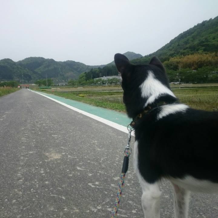 Db941106 34e7 46a9 af64 4e3fae6f589a