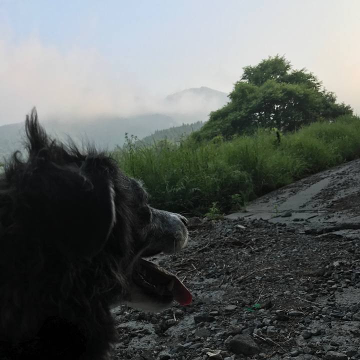 Db945d97 3412 423b 9e75 56076e21d9fb