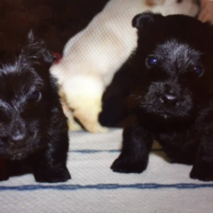 Db94a577 9dab 4030 8f90 529c684da80b