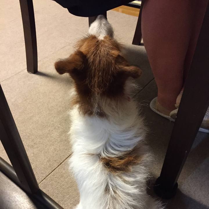 Db94bd97 f520 4819 af94 93b5f0102423