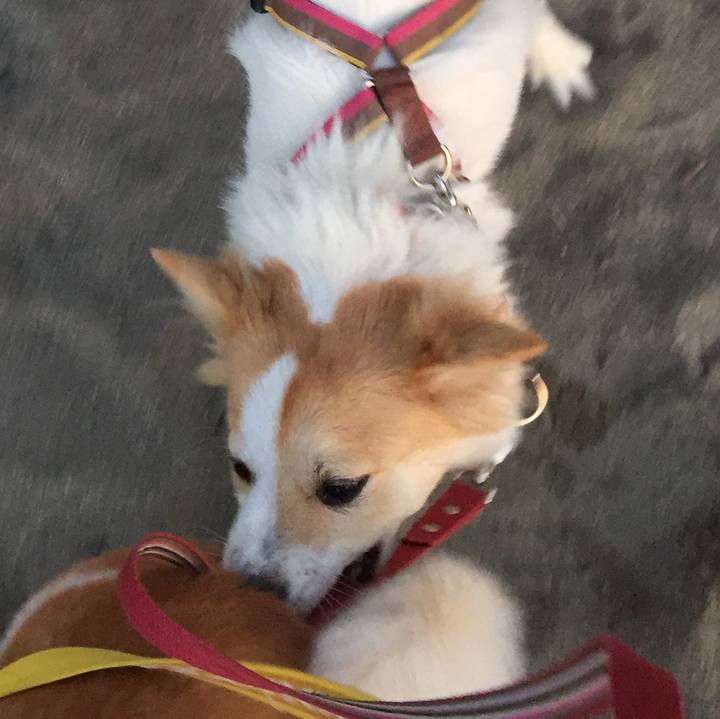 Db94e4e2 bcd2 47e5 bdc2 90dd5b77ee29