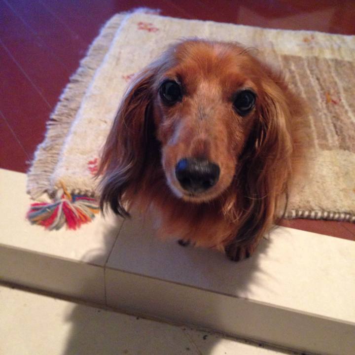 Db953e6b 7065 4dda bb2a f2568cb42ddc