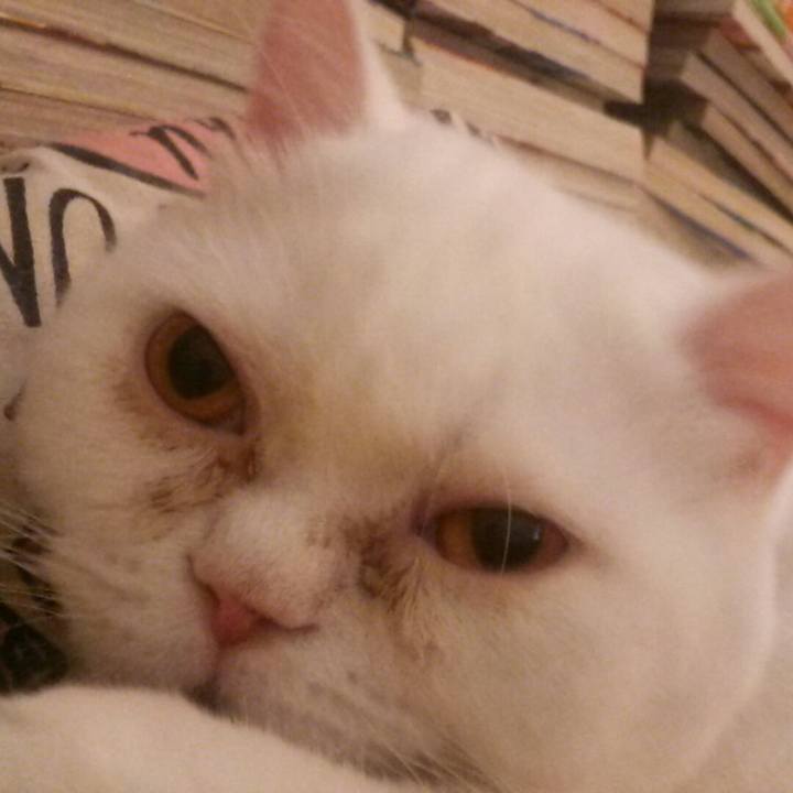 Db95812c 7dfb 4a75 afc5 e94137545efc