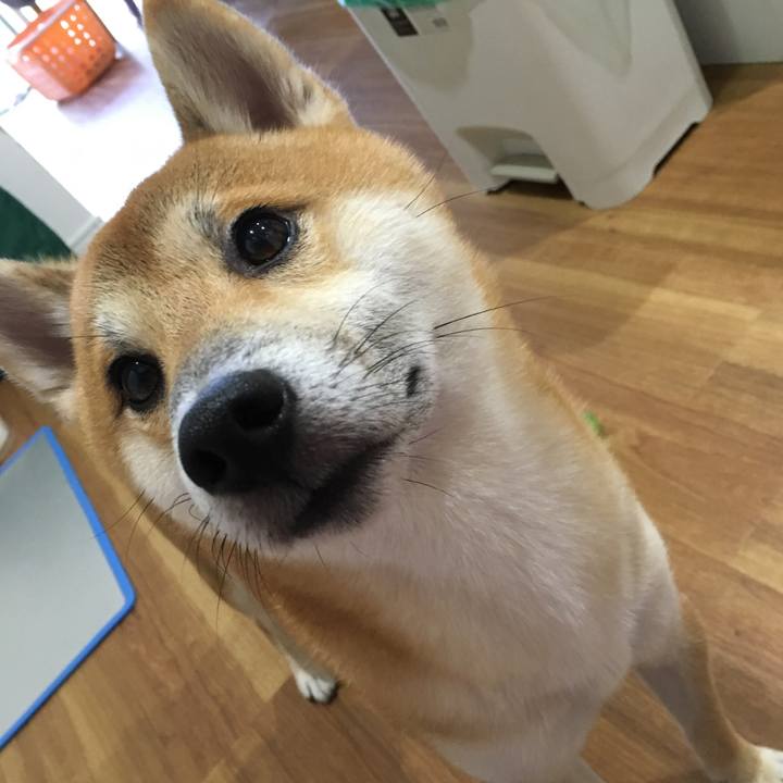 Db95b260 eb71 49f3 a35c 622ca75acc89