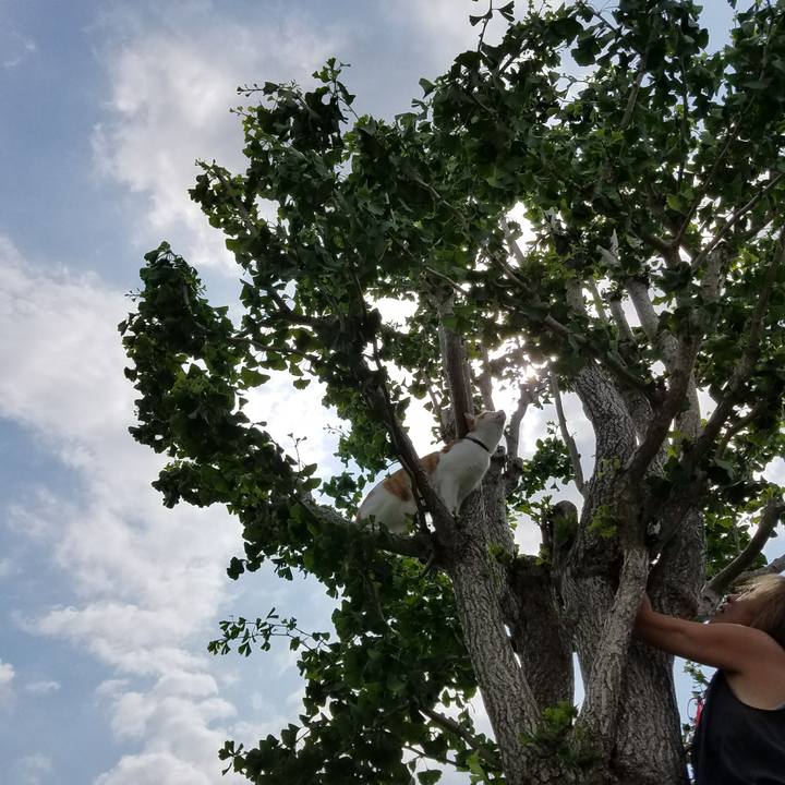 Db95f8d9 5ed3 47b4 afdc 0ecde0e21687