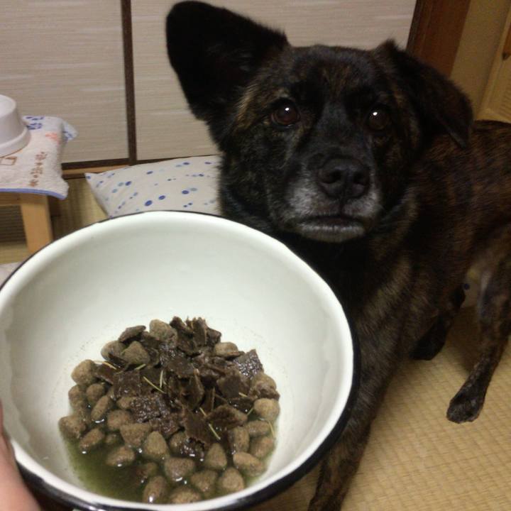 Db96a58a a9fa 4217 afa7 55c316d20504