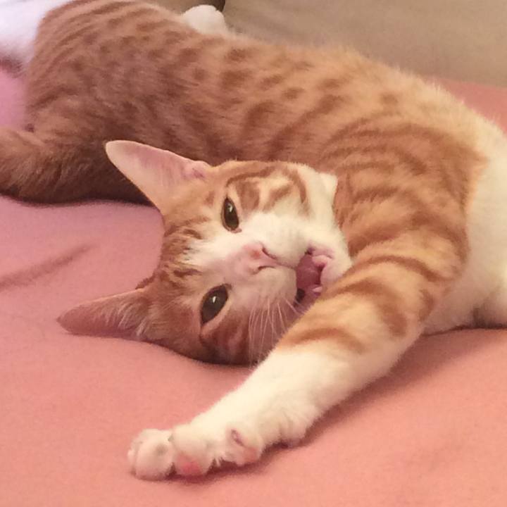 Db970503 8a3d 4c19 b859 da571deb78a9