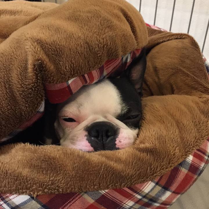 Db97987c f0f1 4bd4 8d27 ee89b1c1e3d9