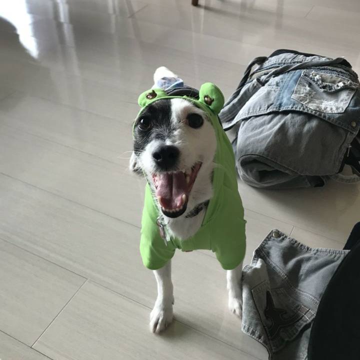 Db97b45f afeb 42e2 bc53 e17dba753060