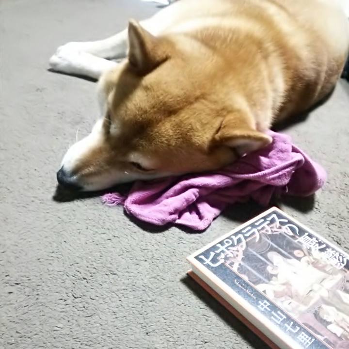 Db97ce10 6da2 4ba9 bd17 4b7e8dd44479