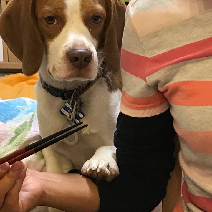 Db97ffdc 7bea 46bc 9863 41a5d89ac925