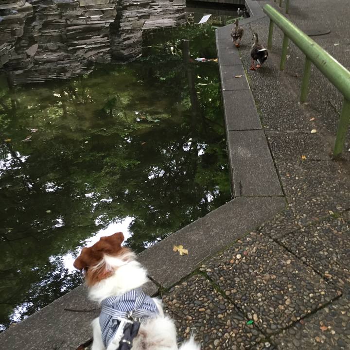 Db981e71 fb76 47eb 80b8 0c72f3d6aa0f