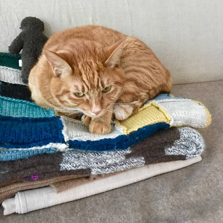 Db9848fd def0 4524 9c52 8492f2a7b791