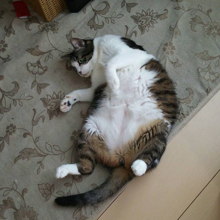 Db99669d 62c1 4d93 956a 85148b742ece