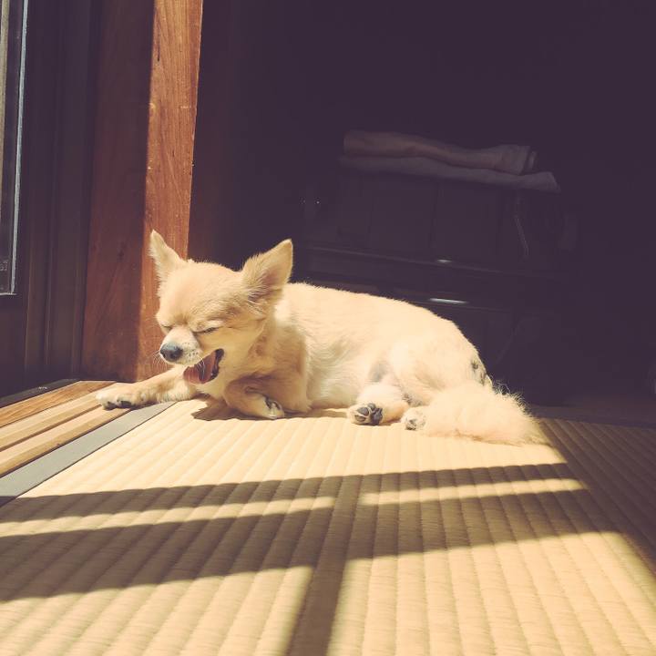 Db9b937e 3bfb 4b2c a9c8 9c13dbaa12d9