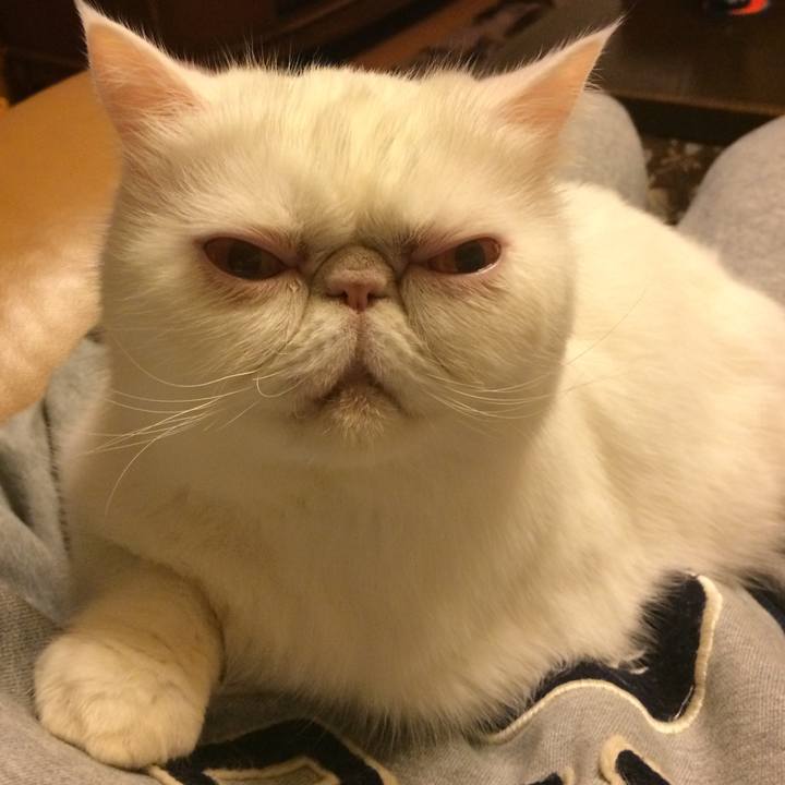 Db9ba0e4 daa3 43d4 8855 0e5c0bd89584