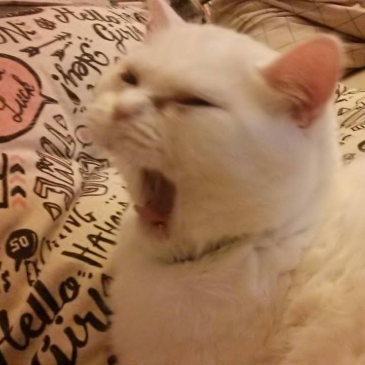 Db9c2f6d dc84 4d1b a16e b6e5ffd985d6