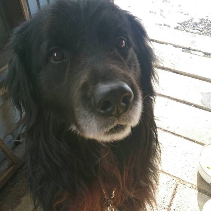 Db9c3e1b d656 4806 9c3e eb0b3bf1abb3