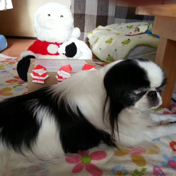 Db9ca27e 2e8e 4c32 b0cf bcb307097c5d