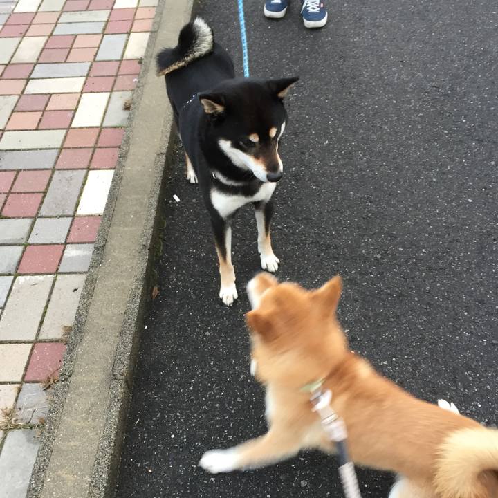 Db9cdff9 e4c1 4317 b075 b212a5771a50