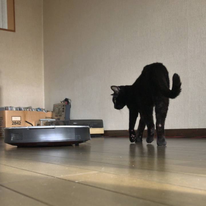 Db9cfc44 910b 4804 8496 b8e970116720